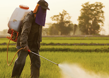 Glyphosate in the Foods we Love